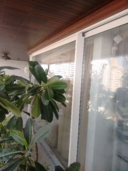 Automated Acoustic Window 3
