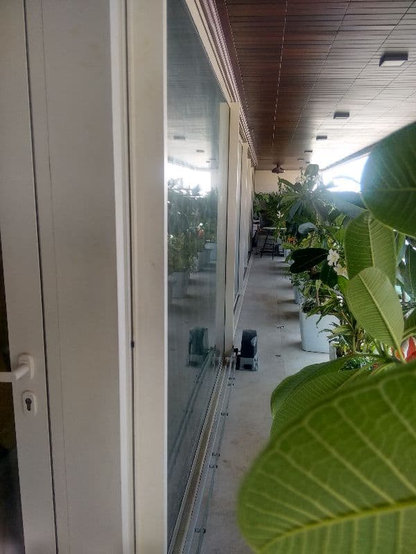 Automated Acoustic Window 1